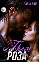 обложка книги Елена Рай "Гром и его Роза"