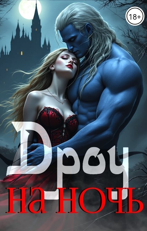 Обложка книги Вера Ривер Дроу на ночь