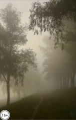 обложка книги Notdivohka Rozabel, Философская лирика "Окозавшись в - тумане"