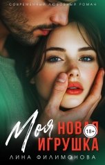 обложка книги Лина Филимонова "Моя новая игрушка"