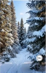 обложка книги Notdivohka Rozabel "Снег. ( Поэмы - 2024 года.)"