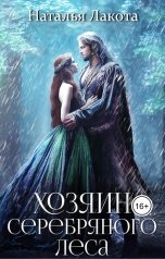 обложка книги Наталья Лакота "Хозяин серебряного леса"