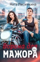 обложка книги Ната Лисичкина "Ворона для мажора"