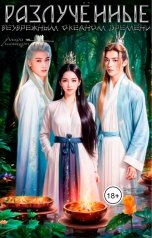 обложка книги Алира Лионкурт "Разлучённые безбрежным океаном времени"