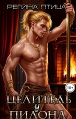 обложка книги Регина Птица Моно "Сладкий грех. Целитель у пилона"