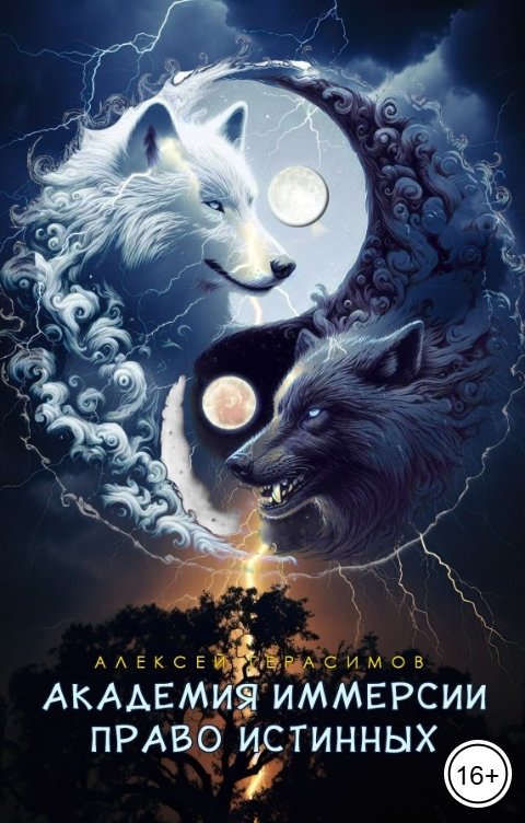 Обложка книги Алексей Saotome Герасимов Академия Иммерсии 2: Право Истинных