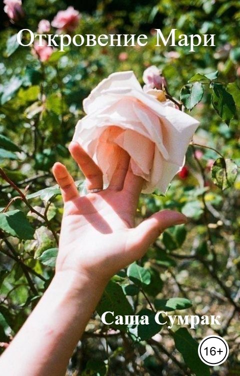 Обложка книги Саша Сумрак Откровение Мари
