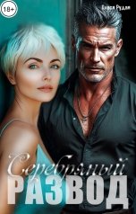 обложка книги Олеся Рудая "Серебряный развод"