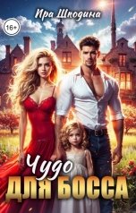 обложка книги Ира Шкодина "Чудо для босса"