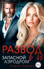 обложка книги Лидия Лидова "Развод в 45. Запасной аэродром"