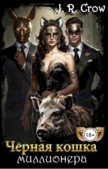 обложка книги J.R. Crow "Чёрная кошка миллионера"