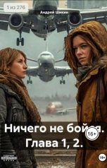 обложка книги Andy Shi "Ничего не бойся"