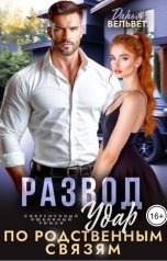 обложка книги Дарья Вельвет "Развод. Удар по родственным связям"