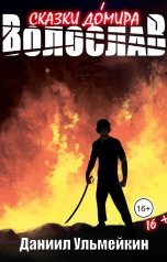 обложка книги Даниил Ульмейкин "Волослав"
