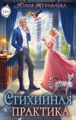 обложка книги Юлия Журавлева "Стихийная практика"