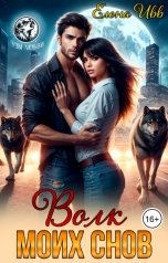 обложка книги Елена Ивв "Волк моих снов"