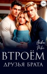 обложка книги Айви Рокс "Втроём. Друзья брата"