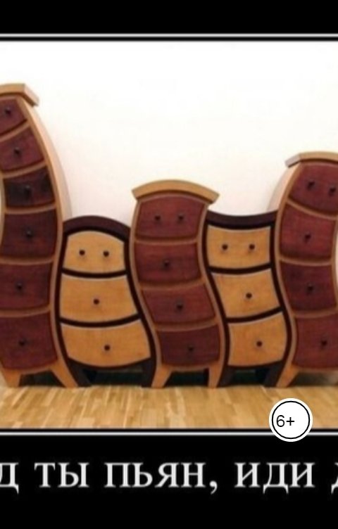 Обложка книги Anna Murashkina Хозяин в законе