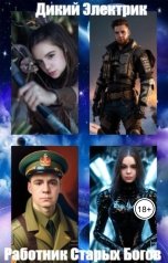 обложка книги Дикий Электрик "Работник старых богов."