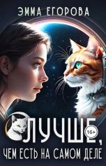 обложка книги Эмма Егорова "Лучше, чем есть на самом деле"