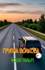 обложка книги Йохан Палыч "Группа Волкова"