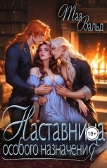 обложка книги Тая Вальд "Наставница особого назначения"
