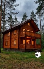 обложка книги Николай Шафронский "Тень забытых слов"