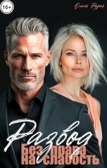 обложка книги Олеся Рудая "Развод. Без права на слабость"