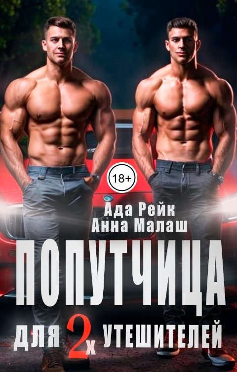 Попутчица для двух утешителей
