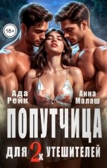 обложка книги Анна Малаш, Ада Рейк "Попутчица для двух утешителей"