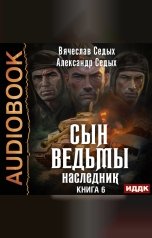 обложка книги Седых Александр, Седых Вячеслав "Сын ведьмы. Книга 6. Наследник"