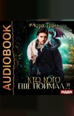 обложка книги Гром Мира "Кто кого еще поймал?!"