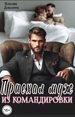обложка книги Наталия Доманчук "Приехал муж из командировки"