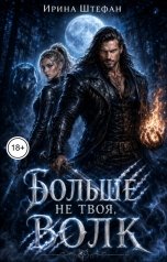 обложка книги Ирина Штефан "Больше не твоя, волк"