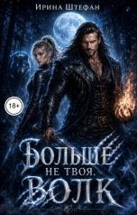 обложка книги Ирина Штефан "Больше не твоя, волк"