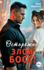 обложка книги Лера Вербина "Осторожно, злой босс!"
