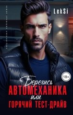 обложка книги LeKSi "Берегись автомеханика или горячий тест-драйв"