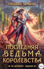 обложка книги Евгения Зимина "Последняя ведьма королевства"