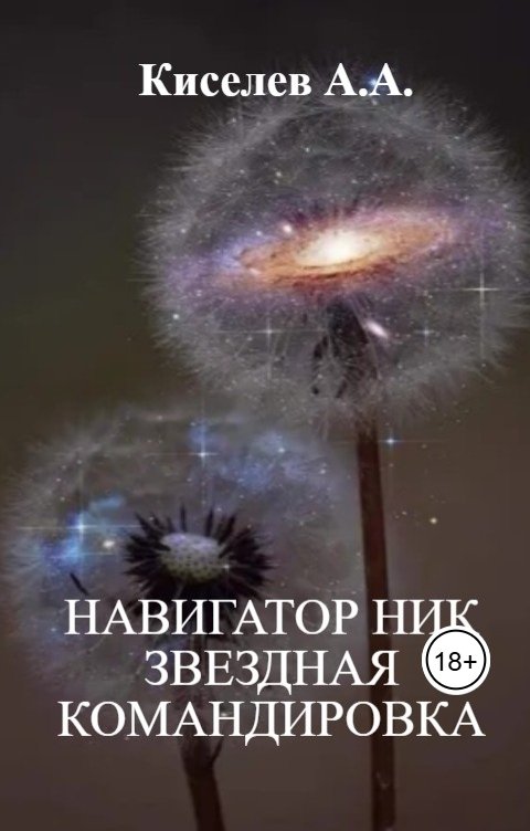 Обложка книги mark467 Навигатор Ник. Звёздная командировка.(Космическая фантастика)