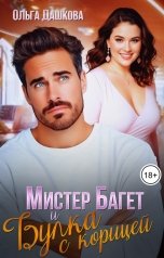 обложка книги Ольга Дашкова "Мистер Багет и Булка с корицей"