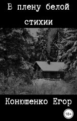 обложка книги Конюшенко Егор "В плену белой стихии"