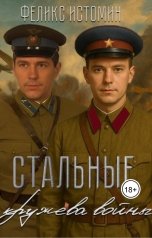 обложка книги Феликс Истомин "Стальные кружева войны"