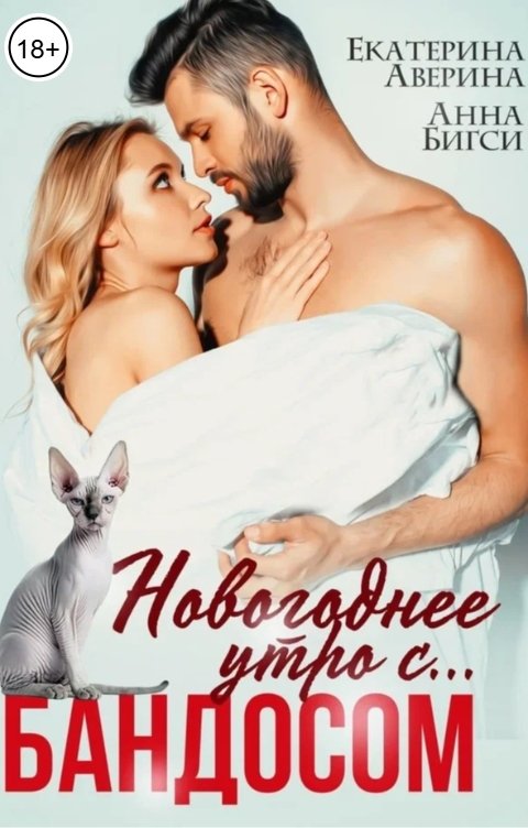 Обложка книги Анна Бигси Новогоднее утро с... БАНДОСОМ!