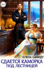 обложка книги Елена Шмидт "Сдается каморка под лестницей"