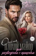 обложка книги Ann LEE "Очень плохой майор для разведёнки с прицепом"