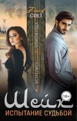обложка книги Dark Colt "Шейх. Испытание судьбой"
