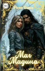 обложка книги Фима Серая "Маг Мадина"