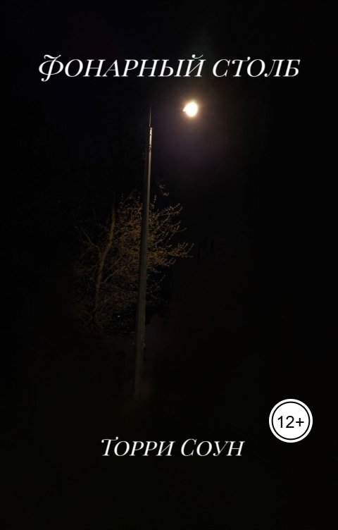 Обложка книги Торри Соун Фонарный столб