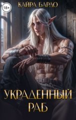 обложка книги Кайра Бардо "Украденный раб"