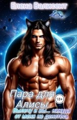 обложка книги Елена Валисент "Пара для Алисы. Вылечу и вы... никуда от меня не денетесь."